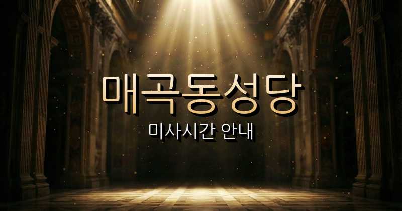 매곡동성당 미사시간 안내 | 광주대교구 5