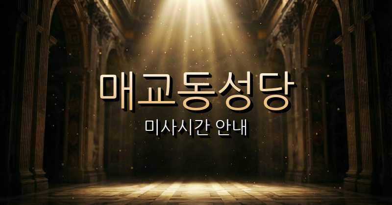 매교동성당 미사시간 1