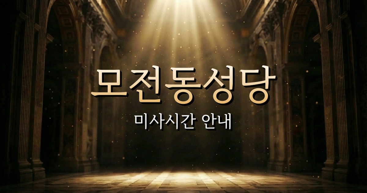 모전동성당 미사시간 | 안동교구 2