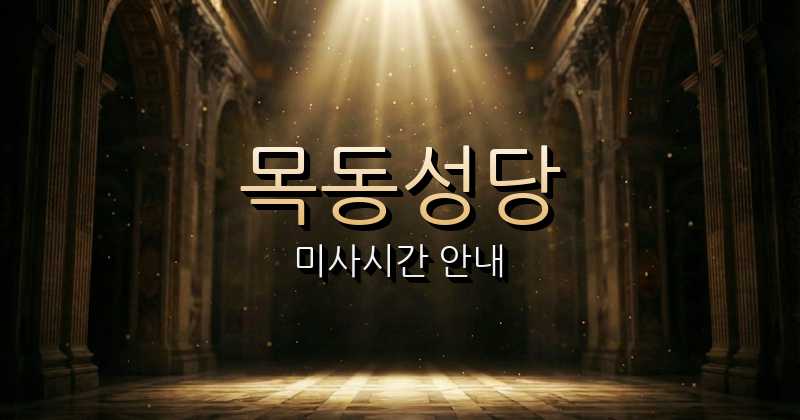 목동성당 미사시간 1