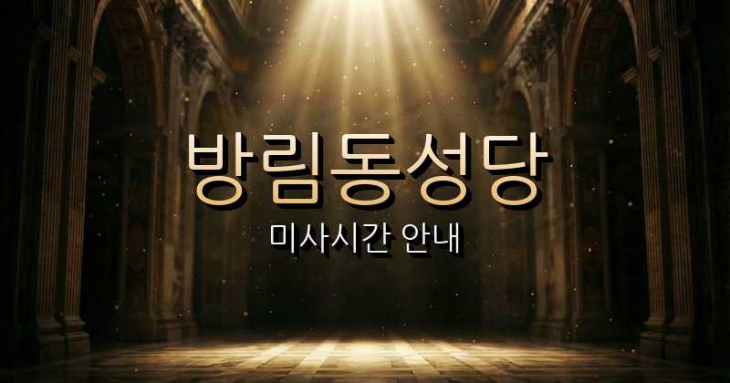 방림동성당 미사시간 | 광주대교구 1