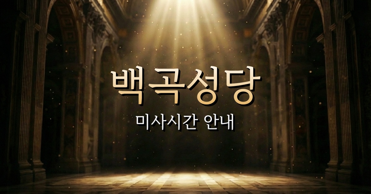 백곡성당 미사시간 | 청주교구 1