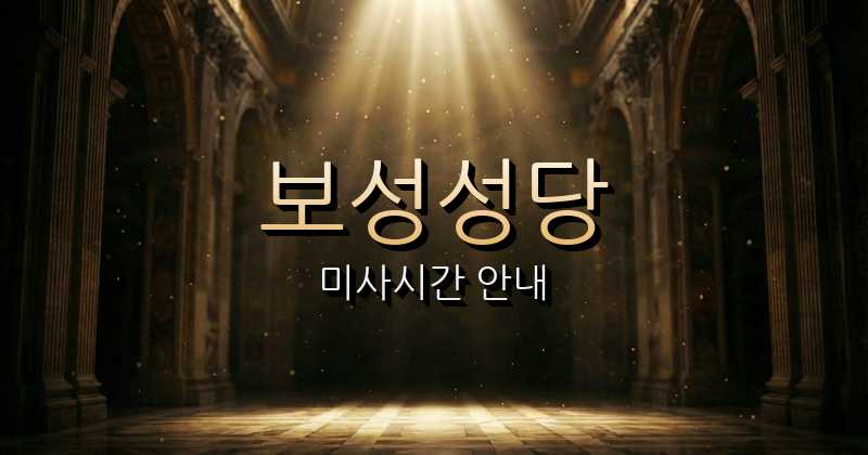 보성성당 미사시간 안내 | 광주대교구 9