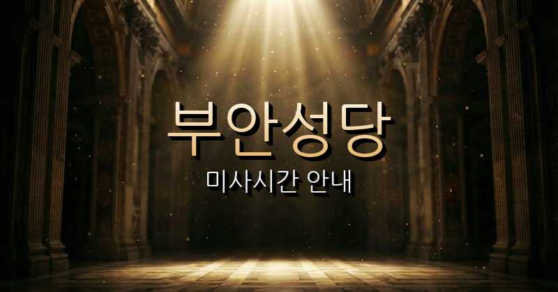 부안성당 미사시간 | 전주교구 1