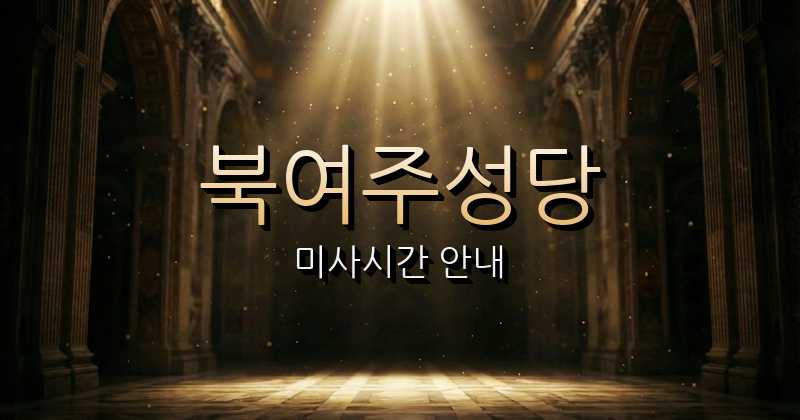 북여주성당 미사시간 1