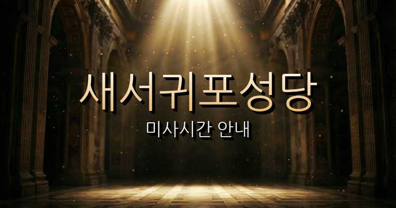 새서귀포성당 미사시간 | 제주교구 1