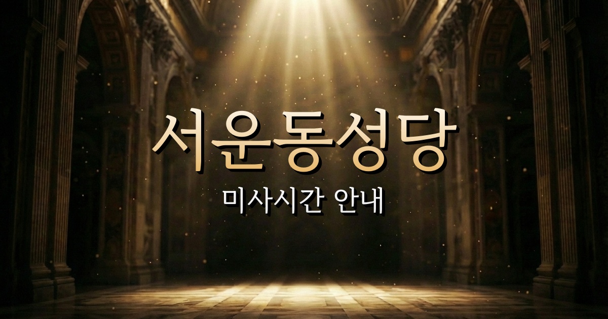 서운동성당 미사시간 | 청주교구 1