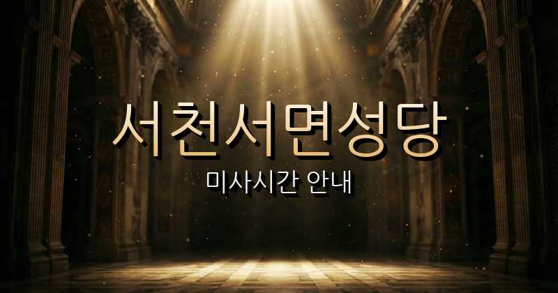 서천서면성당 미사시간 | 대전교구 1