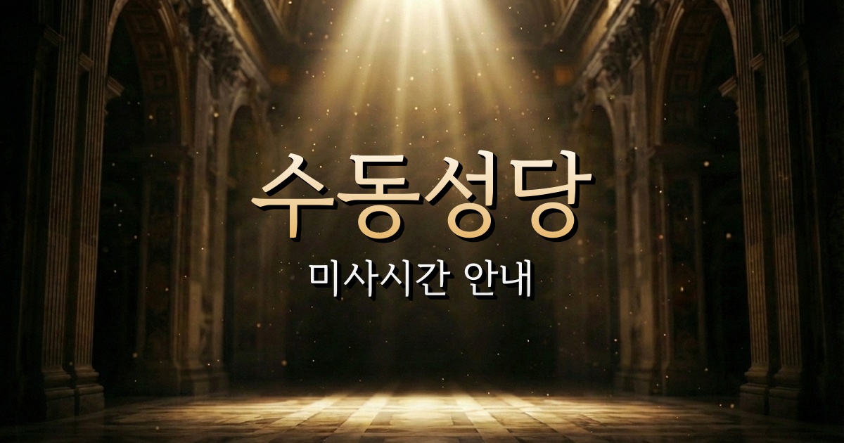 수동성당 미사시간 | 청주교구 3