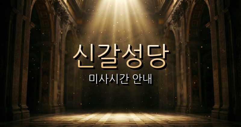 신갈성당 미사시간 안내 | 수원교구 7