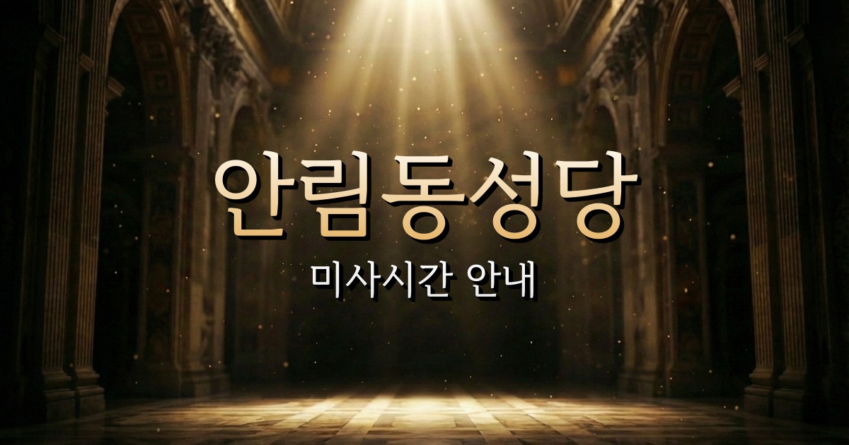 안림동성당 미사시간 | 청주교구 1