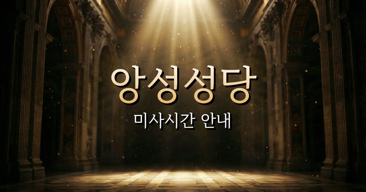 앙성성당 미사시간 | 청주교구 1