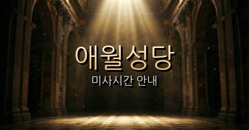 애월성당 미사시간 안내 | 제주교구 6