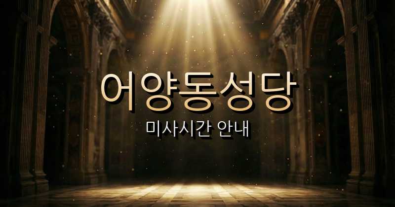 어양동성당 미사시간 | 전주교구 1