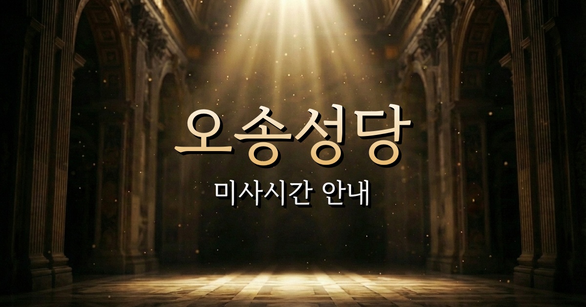 오송성당 미사시간 | 청주교구 1