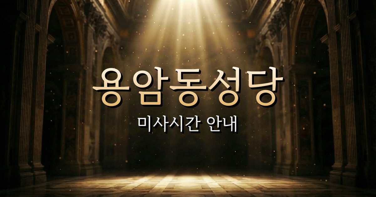 용암동성당 미사시간 | 청주교구 1