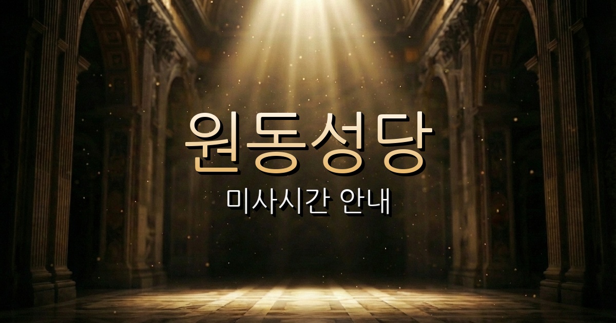 원동주교좌성당 미사시간 | 원주교구 1