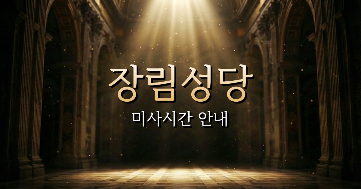 장림성당 미사시간 | 부산교구 1