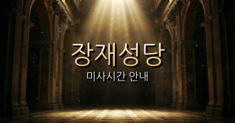 장재성당 미사시간 (지산전망대 근처 성당) 8