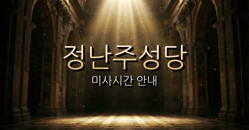 정난주성당 미사시간 | 제주교구 1