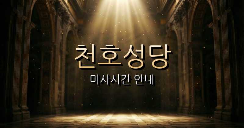 천호성당 미사시간 | 전주교구 8