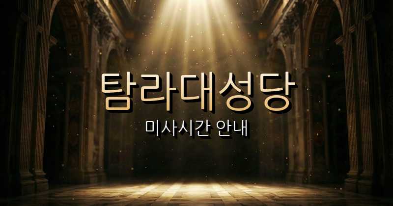 탐라대성당 미사시간 1