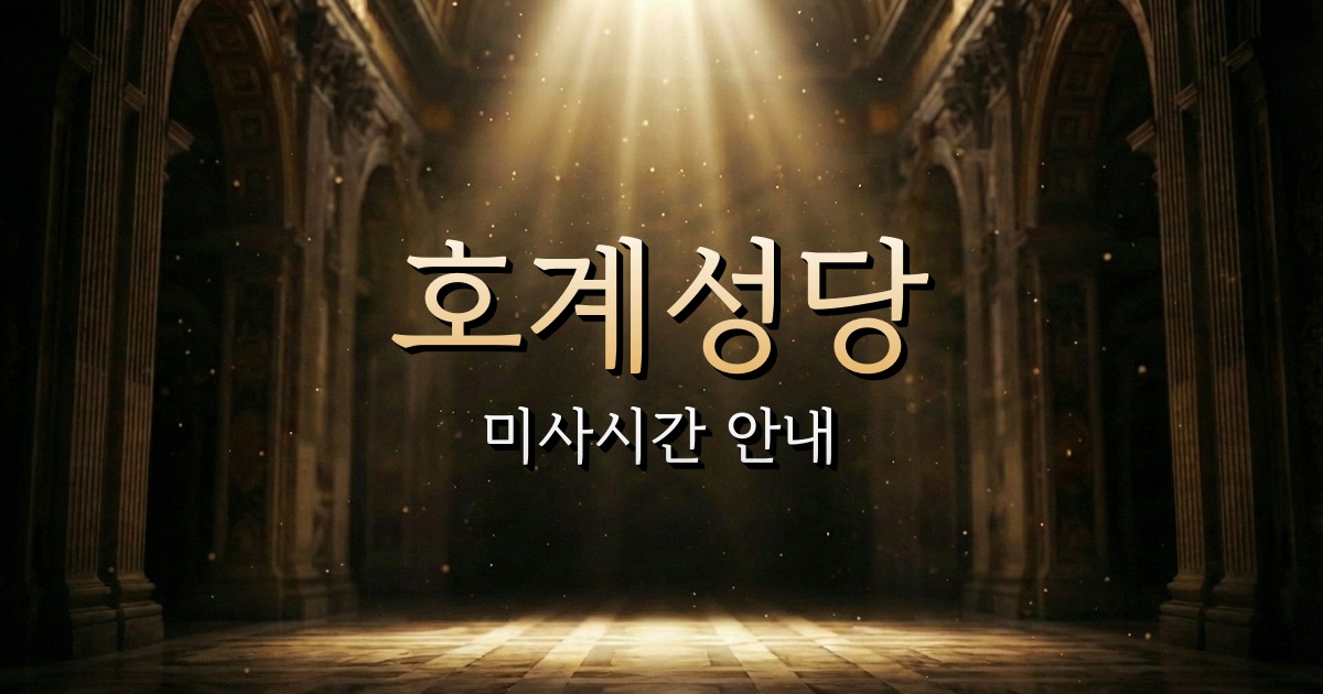 호계성당 미사시간 | 마산교구 1