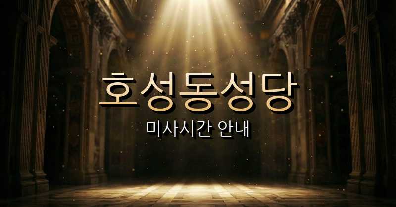 호성동성당 미사시간 | 전주교구 3