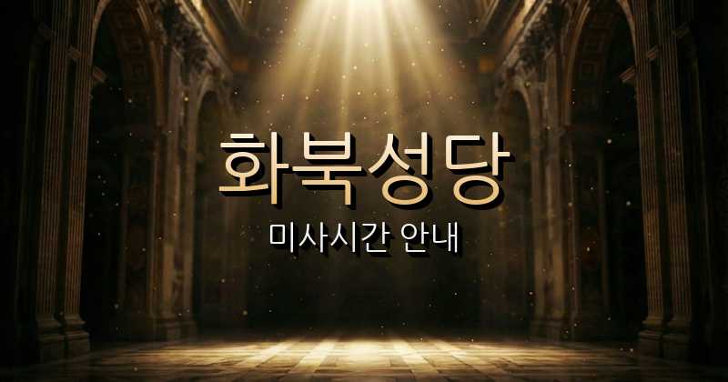 화북성당 미사시간 안내 | 제주교구 7