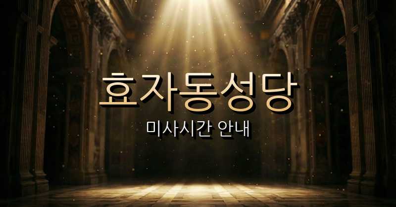 효자동성당 미사시간 | 춘천교구 1