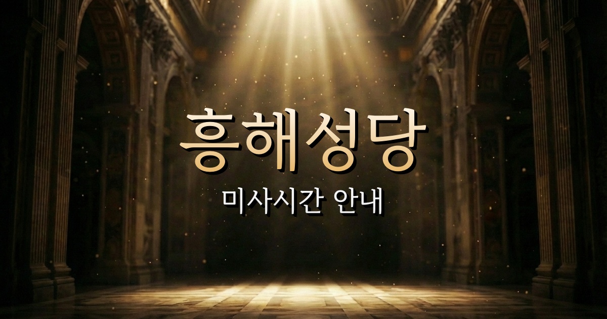 흥해성당 미사시간 안내 | 안동교구 2
