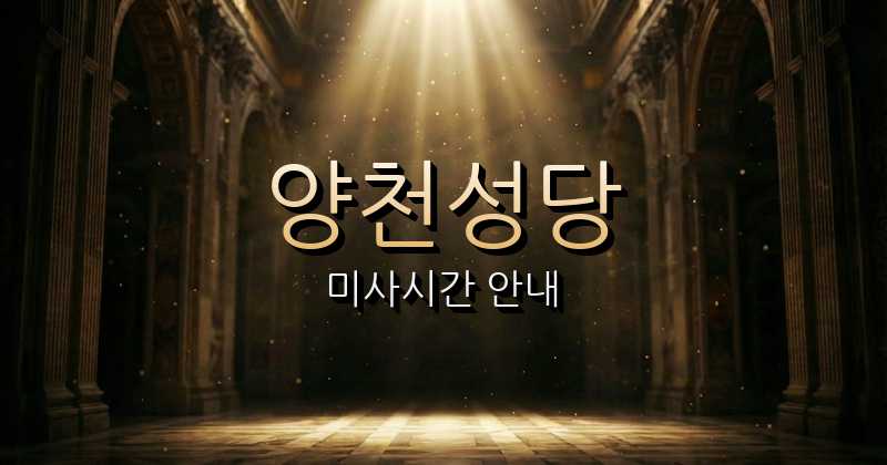 양천성당 미사시간 | 서울대교구 1