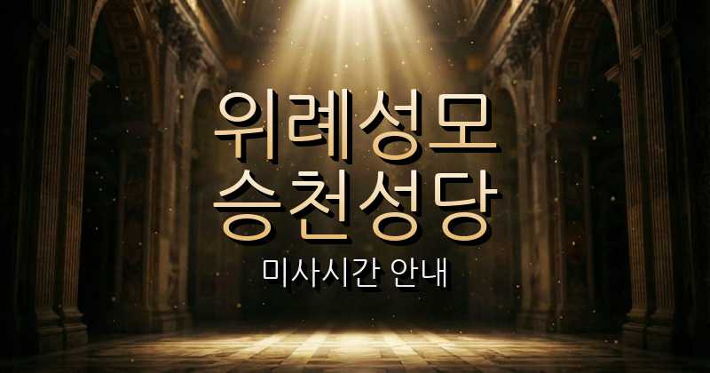 위례성모승천성당 미사시간 | 서울대교구 1