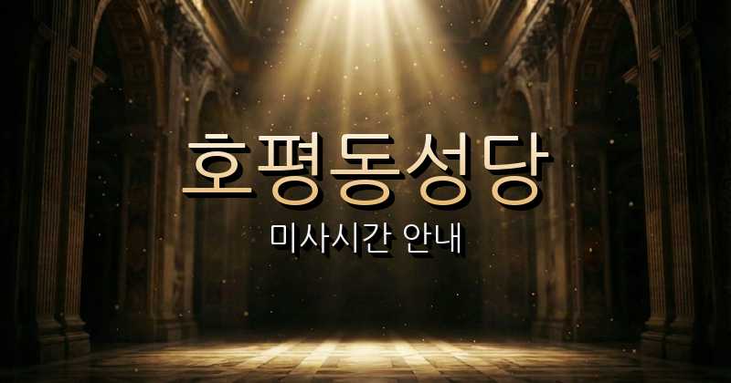 호평동성당 미사시간 6